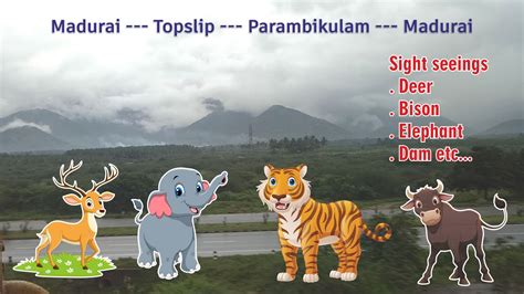 Topslip Jungle Safari Parambikulam Tiger Reserve Wildlife Tourism Places To Visit Youtube