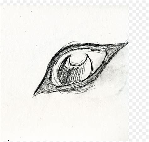 Ia membedakannya dengan gambar karya lengkap dan gambar karya studi. Paling Inspiratif Sketsa Gambar Serigala Kartun - Tea And Lead