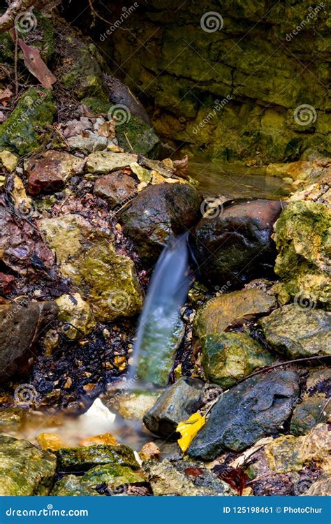 The Spring In A Forest Ravine Striking From Under The Rocks Stock Image