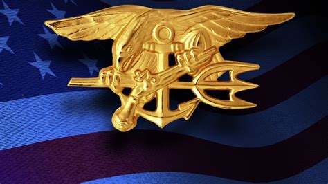 Department Of Defense Identifies The Navy Seal Killed In