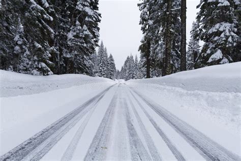 Snowy Road With Icy Conditions Stock Image Image Of Nature Natural