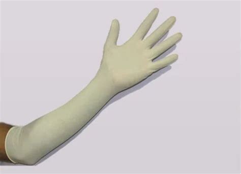 White Surgical Gloves Powder Free Elbow Length Rs 18pair Id