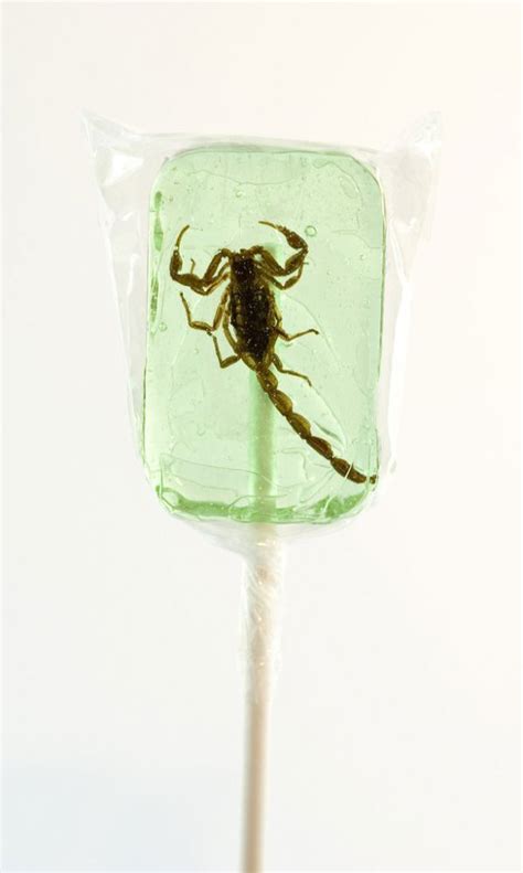 Bush Grub Edible Ant Lollipop Flavour Picked At Random Dated 31 03 15