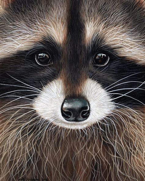 Here Is The Finished Raccoon Painting Ive Been Working On Hes Up For