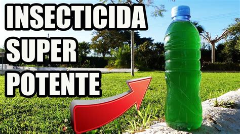Insecticida Casero Y Ecologico Realmente Muy Potente Youtube