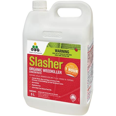 Dealing with spiders in the home. OCP Slasher Organic Weedkiller Concentrate 5L | Weed ...