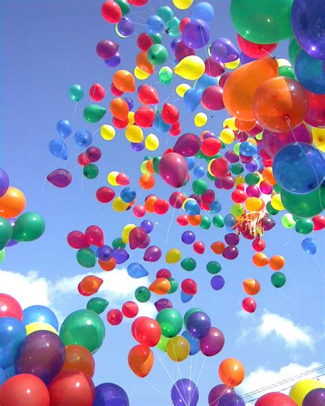 Colorful Balloons To Make You Happy Teddybear64 Photo 16736094