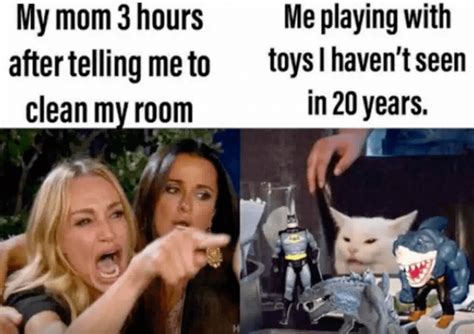 Best Woman Yelling At Cat Memes 28 Of The Funniest Examples Ever