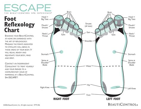 Antiquitäten And Kunst Reflexology Labeled Medial Lateral Foot Chart