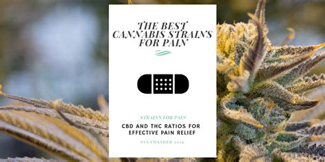 The Best Cannabis Strains For Pain Nugsmasher
