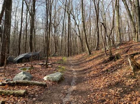 10 best trails and hikes in essex alltrails