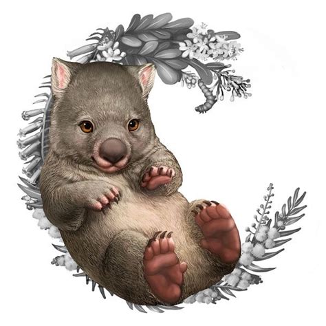 Wombatartwork Baby Animal Art Cute Wombat Australian Native Animals