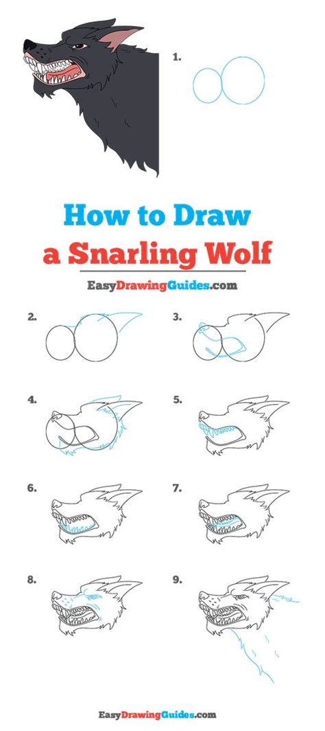 How To Draw A Snarling Wolf Really Easy Drawing Tutorial Drawing