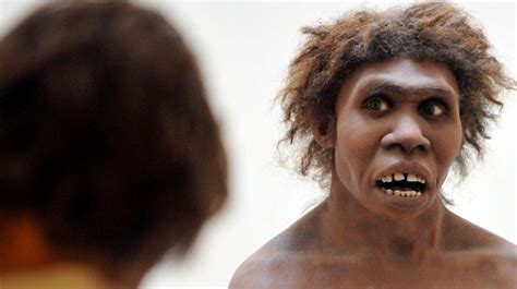 Neanderthal Genes May Have Helped Modern Humans Develop Protection From