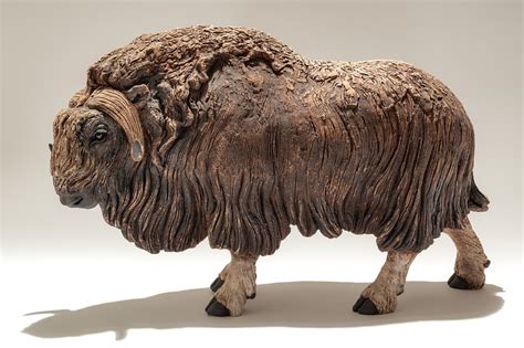 Musk Ox Sculpture Nick Mackman Animal Sculpture