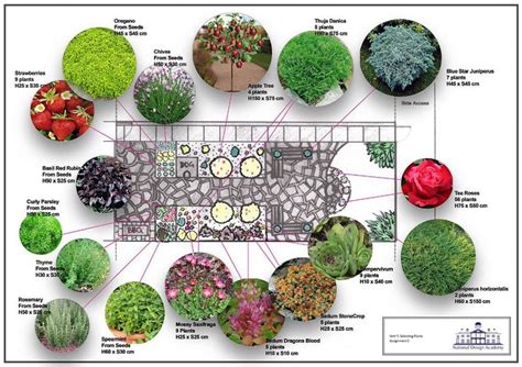 Whats The Difference Between A Landscape Designer And Garden Designer