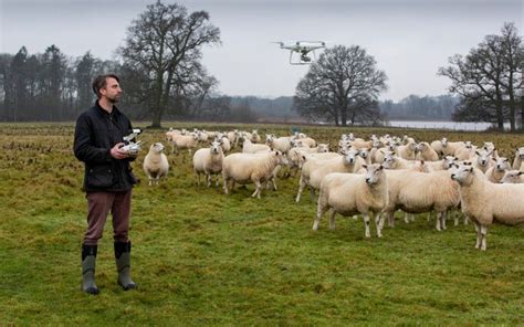Shropshire Farmer Becomes First Person To Train Sheep To Associate