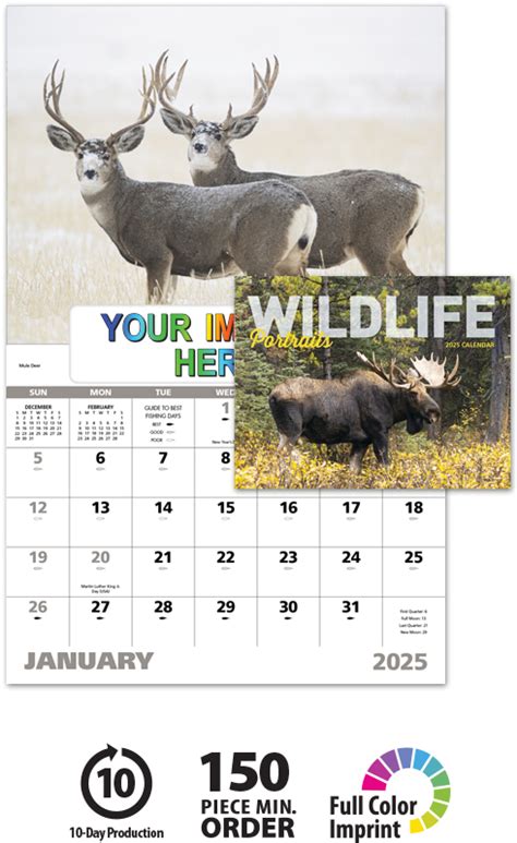 2024 Wildlife Portraits Window Calendar 11 X 17 Imprinted Window