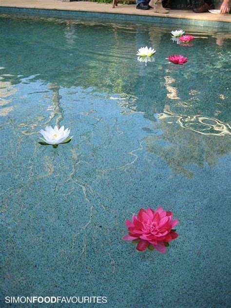 The most inexpensive and beautiful is floating candles and flowers. How to Make Floating Flowers for a Swimming Pool ...