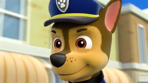 Chasegallerypups Great Race Paw Patrol Wiki Fandom Powered By Wikia