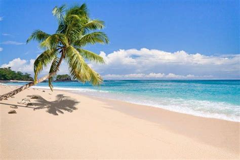 83 tropical island pictures wallpapers images in full hd, 2k and 4k sizes. nature, Landscape, Tropical, Island, Beach, Palm Trees ...
