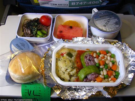 Airline Food From Around The World Revealed But Not All Of It Is