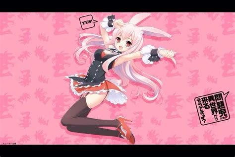 Black Rabbit Wiki Anime Amino