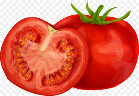 Tomato Drawing Pictures At Getdrawings Free Download