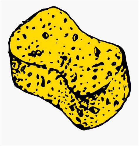 How to draw sponges animal easy step by step for kids. Yellow,line,organism - Drawing Of A Sponge , Free Transparent Clipart - ClipartKey