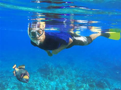 8 Best Spots For Snorkeling In The Caribbean On A Budget Catamaran