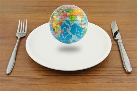 La Importancia De La Cocina Y Gastronomía En La Cultura Mundial Ecoseed