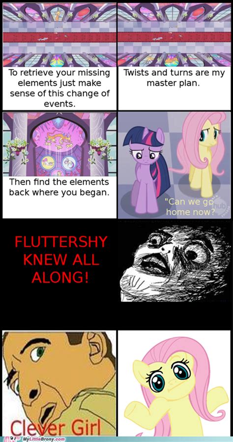 Fluttershy Knew Hahaha All The Other Ponies Should Have