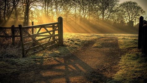 Trees Covered With Sunbeam Surrounded By Wood Fence Gate Hd Country