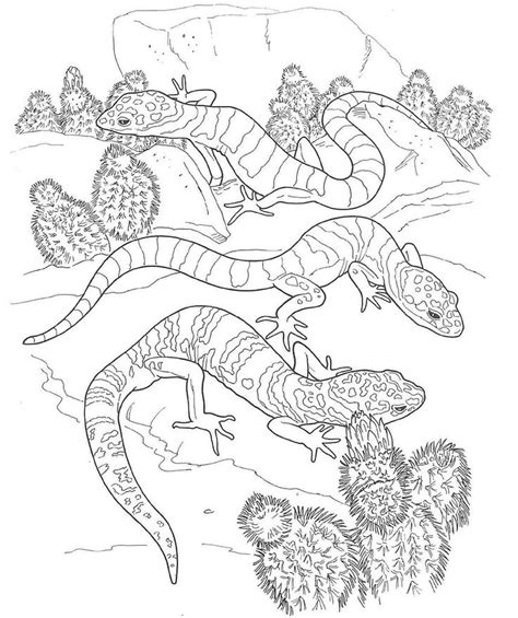 If you've got arty kids with a vibrant imagination, have a browse through our free coloring pages, download all your favorites, and take your markers and crayons out for a spin. 21 best images about Desert on Pinterest | Coloring books ...