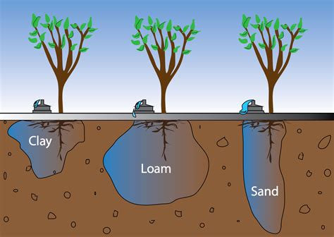 How To Plant A Tree In Clay Soil