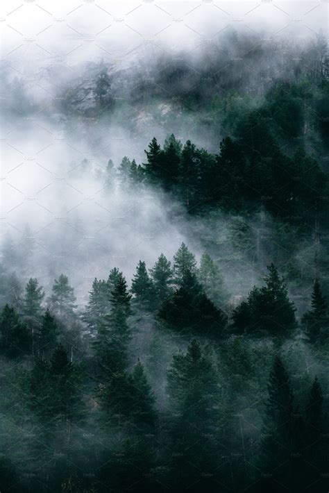 Moody Forest In Autumn With Fog By Photomarket On Creativemarket