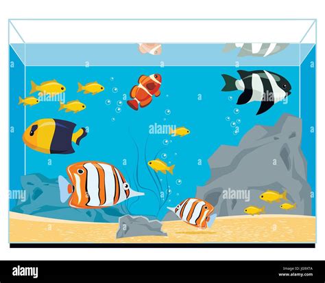 Aquarium Tank Vectors Hi Res Stock Photography And Images Alamy