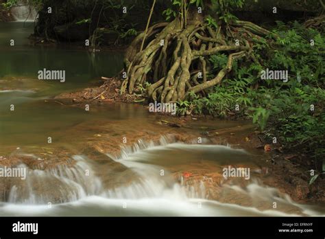 Waterfalls In Thanbok Khoranee National Park Krabi Thailand Stock