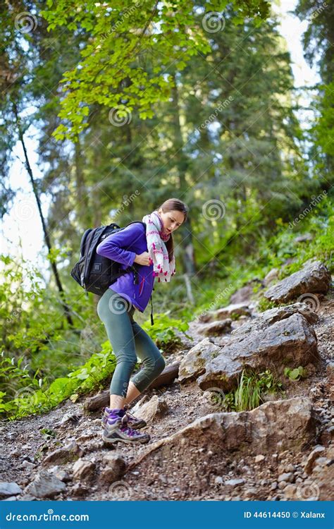 Woman With Backpack Hiking Into The Forest Stock Photo Image Of