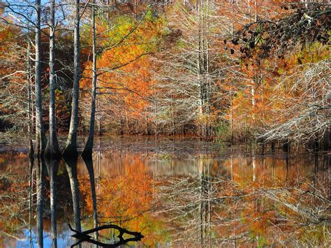 7 Short Hikes In Mississippi With A Spectacular End View