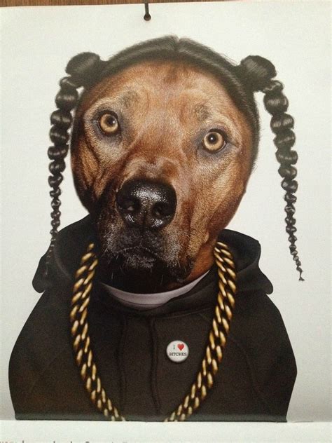 Snoop Dogg Dog Rfunny