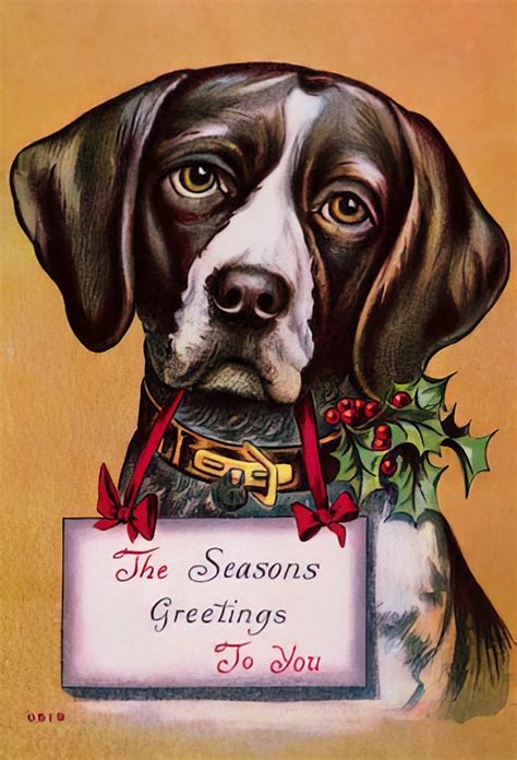 See 12 Cute Antique Christmas Postcards With Dogs For A Merry Woofmas