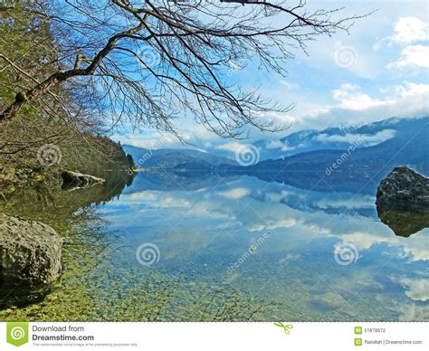 Beautiful Scenario At Bohinj Lake Stock Photo Image Of Attraction