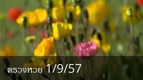 ตรวจหวยย้อนหลัง หวยออกอะไร ตรวจสลากกินแบ่งรัฐบาล 1 เมษายน 2564. ตรวจหวย 1/9/57 ผลสลากกินแบ่งรัฐบาล หวยออกอะไร เลขที่ออก ...