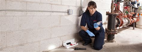 If, however, you live in an area prone to ticks, termites, and ants, you'll likely need at least an annual pest control service. How To Get Rid of Mice | Ehrlich Pest Control