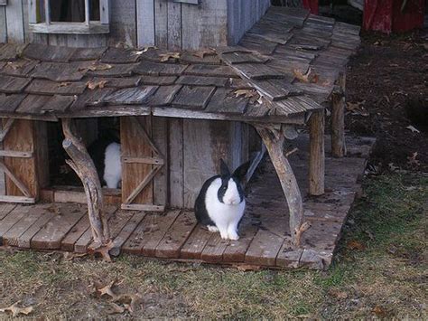 Pin By Sarah Mccarthy On Farm In 2020 Rabbit Playground Bunny House