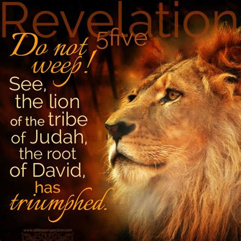 He Is Our Lion Of The Tribe Of Judah Rev 55 Names Of God 214