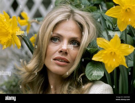 Swedish Actress Britt Ekland Circa 1975 Stock Photo Alamy