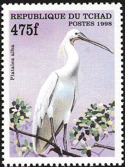 African Spoonbill Stamps Mainly Images Gallery Format