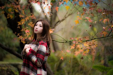 fondos de pantalla 2560x1707 otoño asiático bokeh pose rama follaje lindo cabello castaño